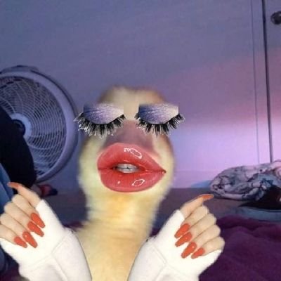 deejaimakmak_'s profile picture. 