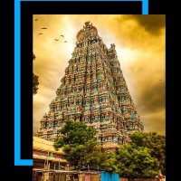Divya Bhatnagar (@divyabhatnagarv) 's Twitter Profile