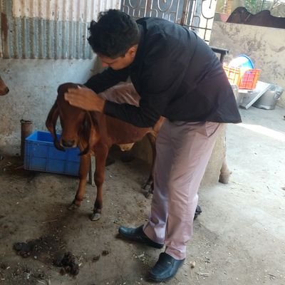 Stocktradar's profile picture. B.E. Electronics engineering from BVM Anand Sardar Patel University JAY my nick name