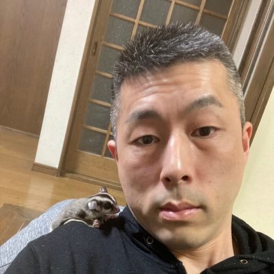 shin19791227's profile picture. 11歳の可愛い娘と仲良く2人暮らし/フクロモモンガとソロギターと料理とビールをこよなく愛する中年サラリーマン/20年のブランクを経て40過ぎでギター再開!/ 愛器Maton EA808/目指せTommy Emmanuel!/静岡在住/おぺとはモモンガの名前です/ モモンガ垢 @momonnga0923 もよろしくです!