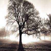 GP (@grahamprecey) 's Twitter Profile