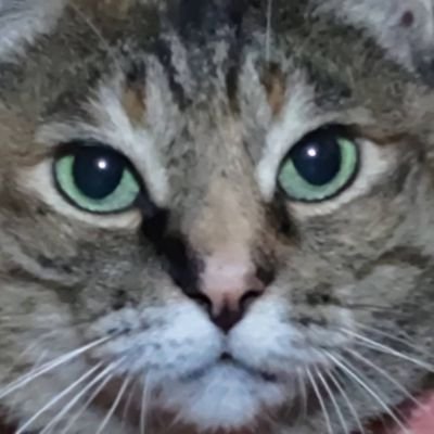 ぽんさんのプロフィール画像