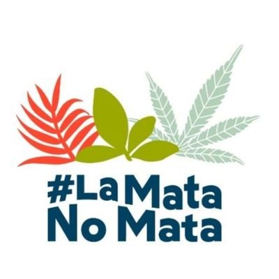 Somos una plataforma ciudadana que apoya la regulación del uso adulto del cannabis en Colombia.
Síguenos 👉https://t.co/yMBdkL6eov