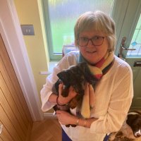 Prof Sue Read (@prof_sue_read) 's Twitter Profile