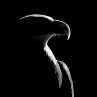 themassage™️🇹🇷 (@susarsam_olmaz) 's Twitter Profile Photo themassage™️🇹🇷 (@susarsam_olmaz) 's Twitter Profile Photo