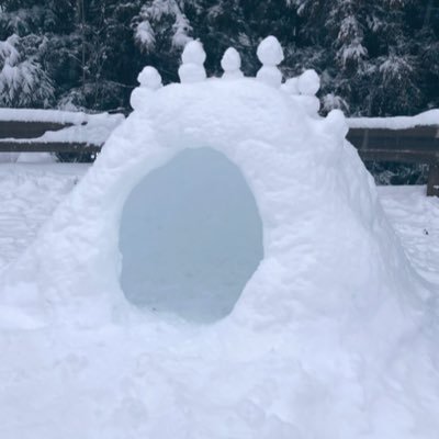 雪さんのプロフィール画像