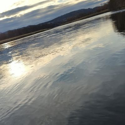 Sapphir52183637's profile picture. 