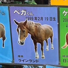 bega💧🍭🍁🎏さんのプロフィール画像