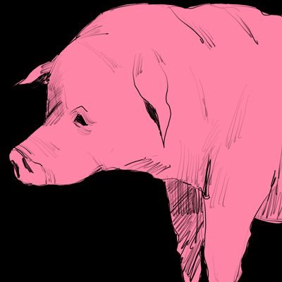 ピッピロピース楠原さんのプロフィール画像