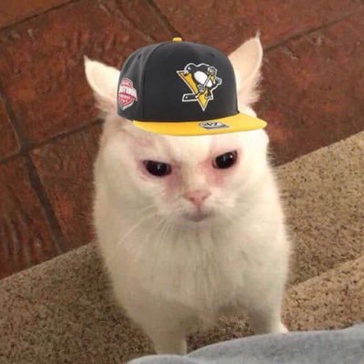 StubbyMuffin's profile picture. newly baptized pens fan + goalie lover extraordinaire