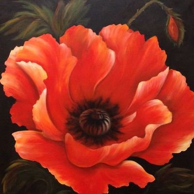poppies_me Profile Picture