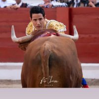 Marcos Peña EL PINO (@marcoselpino) 's Twitter Profile