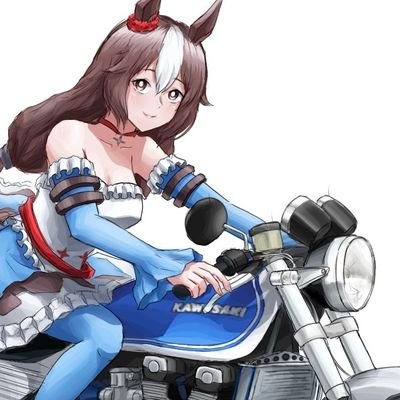 バイクと車が大好きな人
絵を描いたりしてます
ブルアカだったりウマ娘だったり