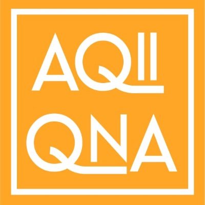 AQII-QNA : pour une voix politique infirmière Profile