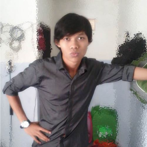 IT Professional, Programmer