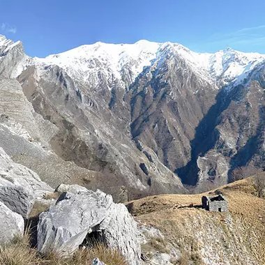 RBot54298238's profile picture. 