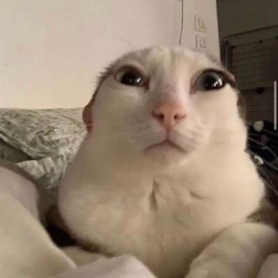 1026I4's profile picture. Silly