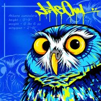 NiteOwl.eth / .tez 🦉☕🦉☕🦉 💊💊(@NaitoOru) 's Twitter Profile Photo