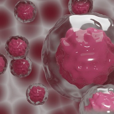 UOrgans13843's profile picture. 