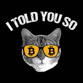 BitcoinHoodies Profile Picture