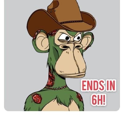 anima4148719884's profile picture. 