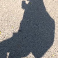 ak (@bright_akkiiiia) Twitter profile photo