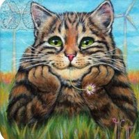 Sandra 😼💙💚🐺🌷🌿🍀🌱Animal lovers🐾🐾🐾🐾🐾🐾 (@sandraceradini) 's Twitter Profile Photo Sandra 😼💙💚🐺🌷🌿🍀🌱Animal lovers🐾🐾🐾🐾🐾🐾 (@sandraceradini) 's Twitter Profile Photo