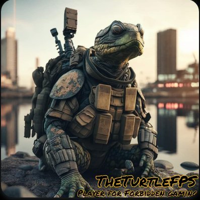 TheTurtleFPS Profile Picture