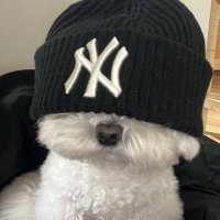 Minty (@minty_wydd) 's Twitter Profile