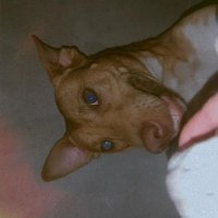 Micalea 🇦🇷 (@micadeelaa) 's Twitter Profile