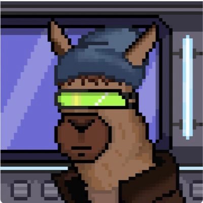 drskgupt's profile picture. Web3 nerd, Sappy Seals, Llamaverse, Squishiverse, Discord: MrNFTea#0089