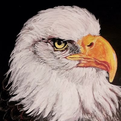 MamanAigle's profile picture. 