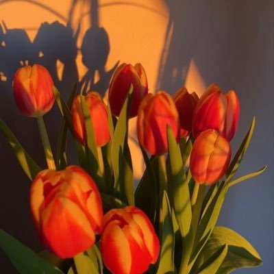 hrky1118ysrk's profile picture. 20↑🐥👑美しい彼に沼りました(*´∇｀*)萩原利久くん、八木勇征くんにも順調にハマっております。ツイートに反応していただいたら尻尾振ってフォローしに行きます🥺|トプコ会員💖|ヘッダー使用許可いただいてます▶︎▷@oyikiiihih