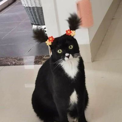 QuinellatoA's profile picture. no time bro