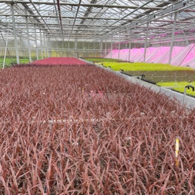 FitzGerald Nurseries Profile