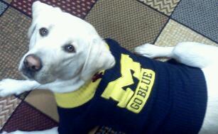 toekneefromgc's profile picture. Ponies, hounds, ncaafb, mlb, nhl, ncaam, cigars & bourbon.  ][V][ #GOBLUE! #RaysUp 
venmo@trichard01  if you're so inclined.