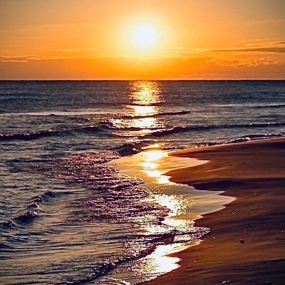 Wwmxll's profile picture. hi am jay
          ma besties:quandale dingle