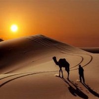 رحلة الكلمات (@qz_b8) 's Twitter Profile