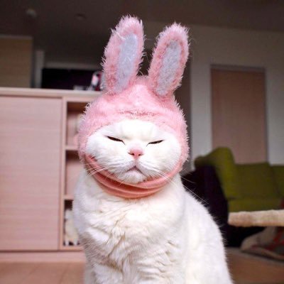 pamballem's profile picture. 💕