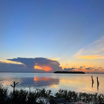 evolucionandoo's profile picture. iluminando la experiencia humana ✨