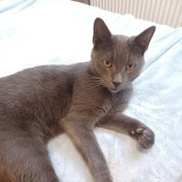 Catherine Cox (@1catherinecox) 's Twitter Profile