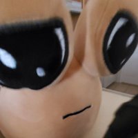 Little Badingle (@pouplush) Twitter profile photo
