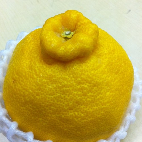 tf430611's profile picture. はじめまして、サッカーが大好きで、仕事は果物の卸売りしてます。毎日元気がモットーです。