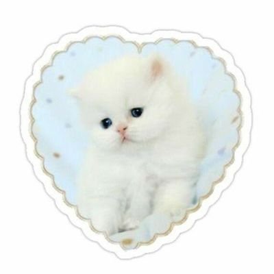 Hex0xy_'s profile picture. 