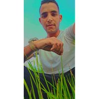 Ahmed Ebrahem (@ahmedeb3981817) 's Twitter Profile
