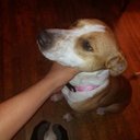 Andre Watkins - @dreasf07 - Twitter