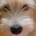 Nelly (@n3llyevelyn) Twitter profile photo Nelly (@n3llyevelyn) Twitter profile photo