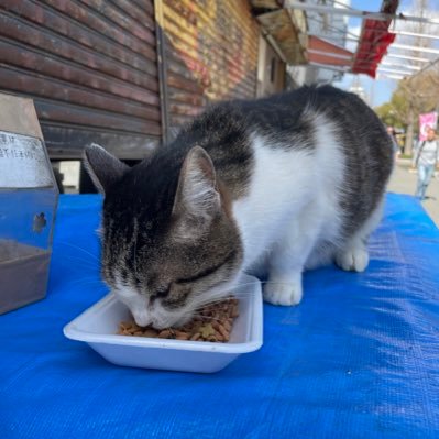 株と技術 今年度中に査読付きを出す