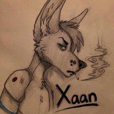 Xaan78282797's profile picture. A Tired Nigerian