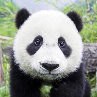 simomon0118's profile picture. 